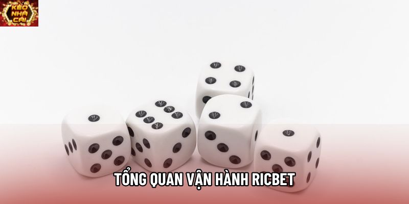 Tổng quan vận hành Ricbet Tổng quan vận hành Ricbet