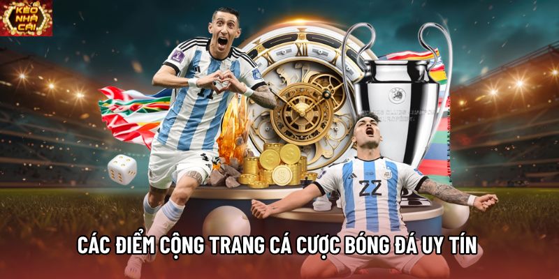 Các điểm cộng trang cá cược bóng đá uy tín Các điểm cộng trang cá cược bóng đá uy tín
