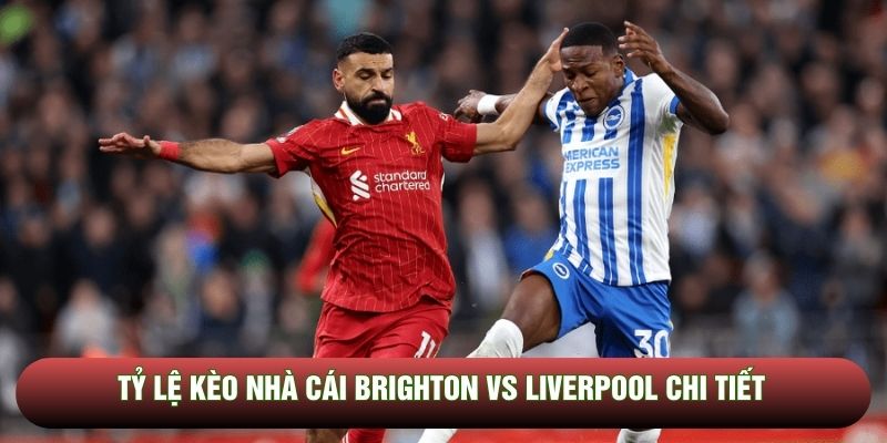 Tỷ lệ kèo nhà cái Brighton vs Liverpool chi tiết Tỷ lệ kèo nhà cái Brighton vs Liverpool chi tiết